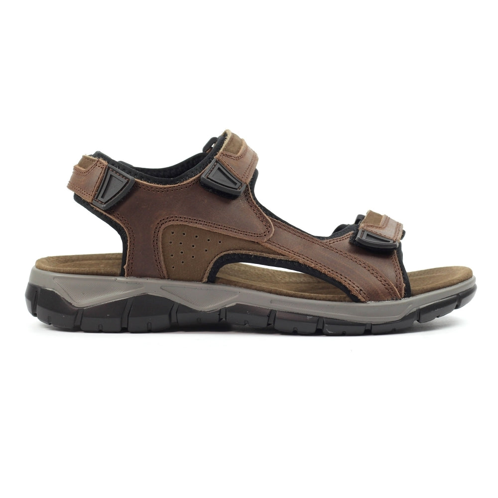 LAZY DOGZ Lismore - Mens 3 Strap Leather Padded Walking Sandal Brown