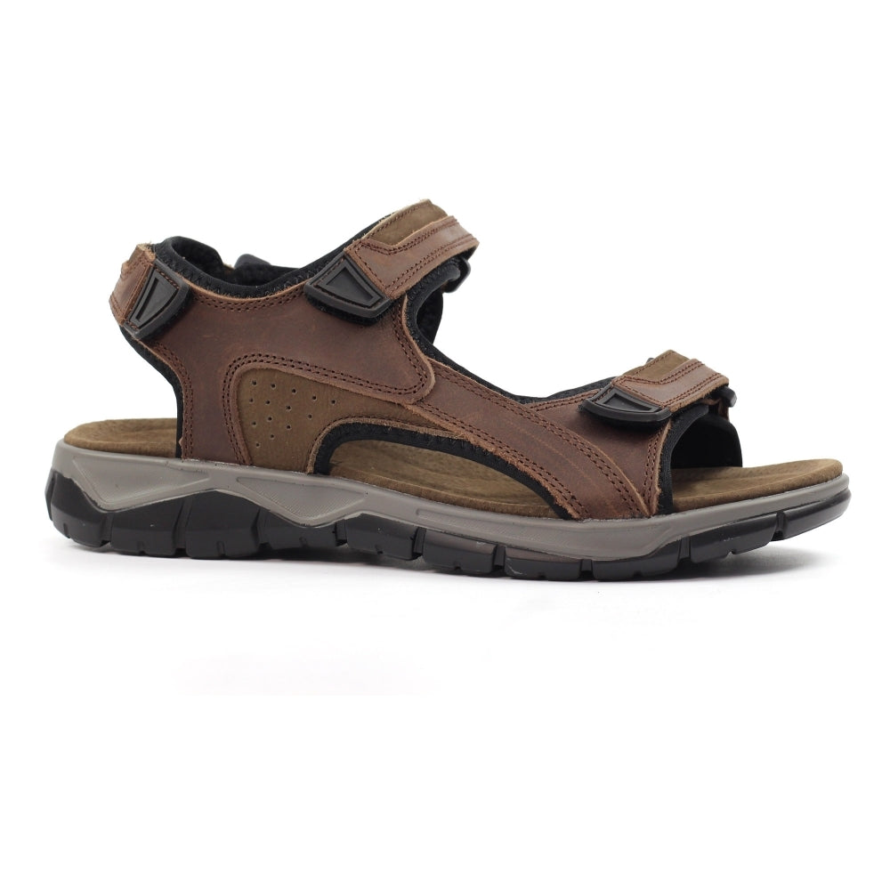 LAZY DOGZ Lismore - Mens 3 Strap Leather Padded Walking Sandal Brown