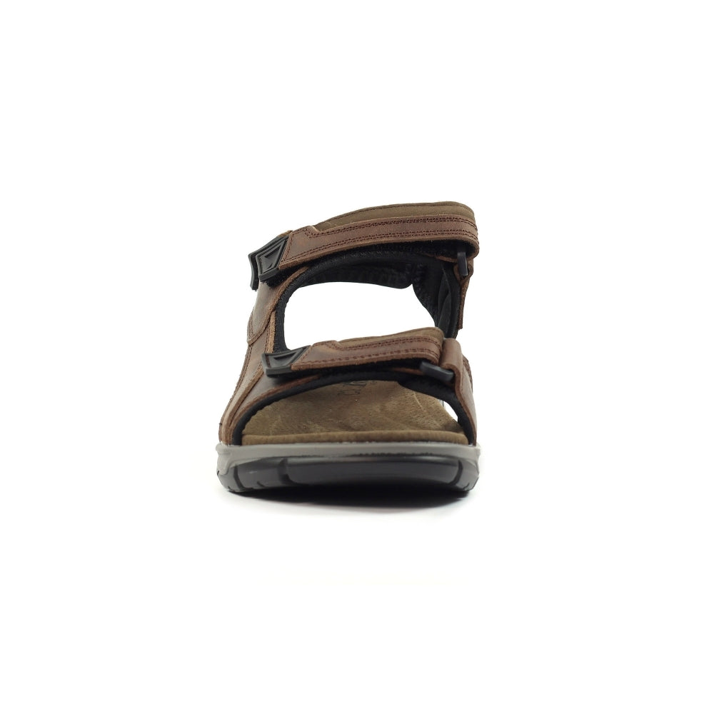 LAZY DOGZ Lismore - Mens 3 Strap Leather Padded Walking Sandal Brown